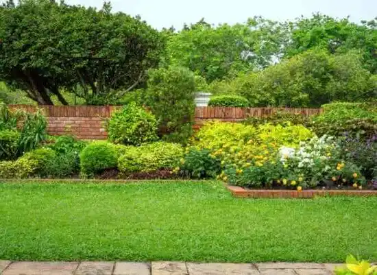 landscaping services Concorde Hills